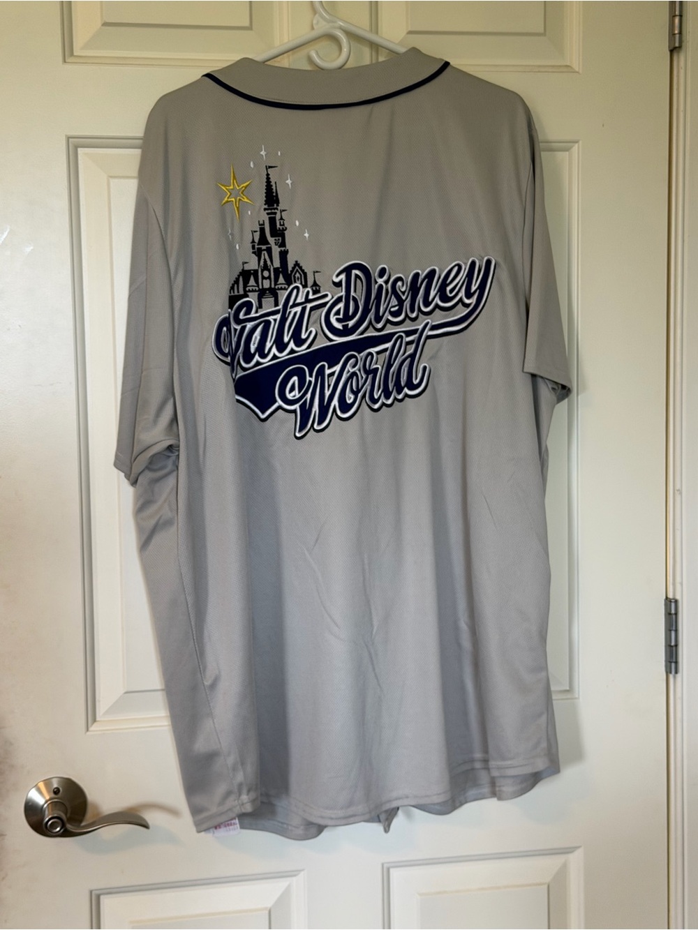 Disney World Men’s Grey Jersey